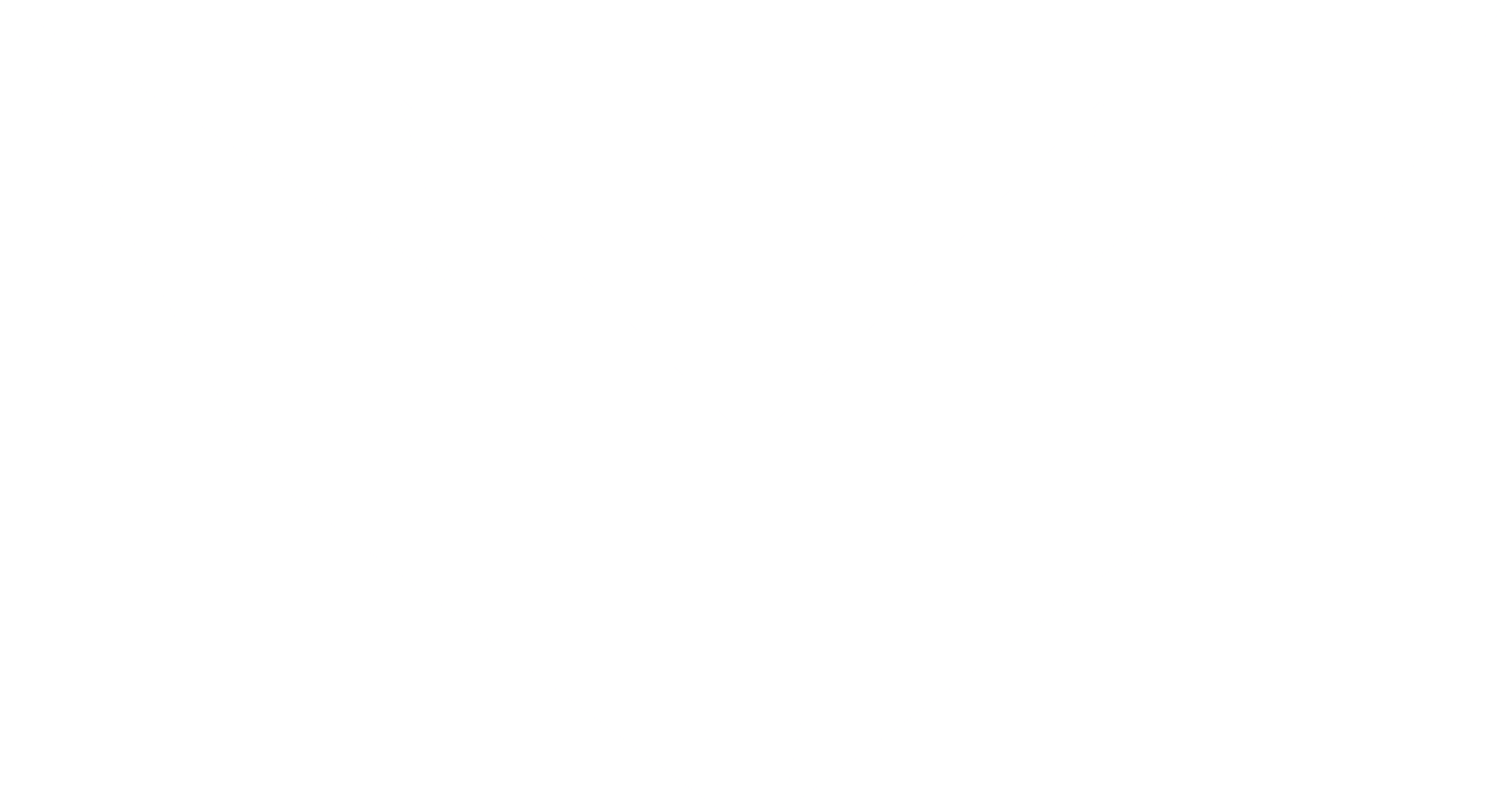 McMaster Formula Electric